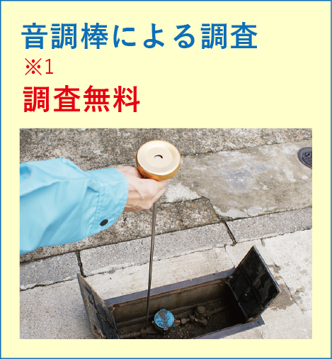 音調棒による調査